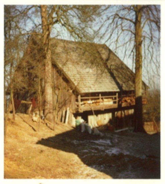 1920: Altes Presshaus mit Gewölbekeller